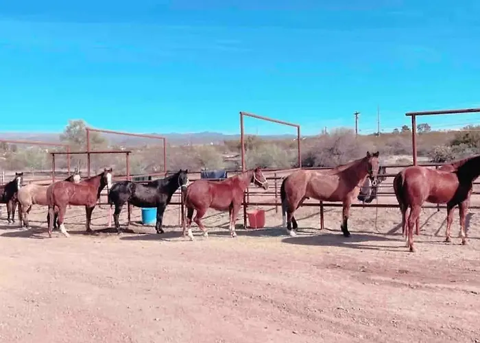 The Team Ropers Ranch House *